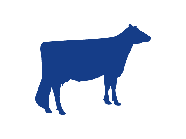 1975-2