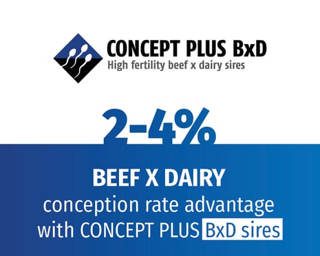 2025-09 Website CP Graphics-BxD