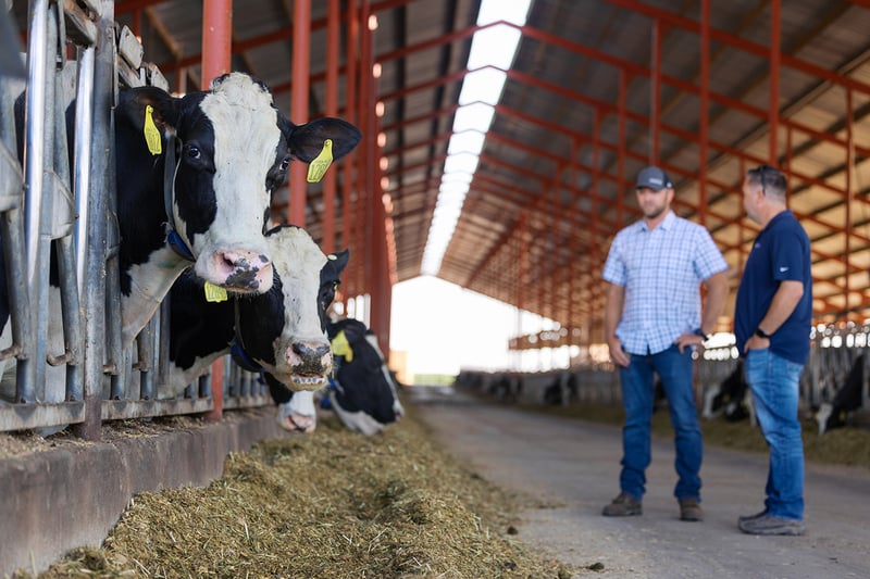 Alta Proof Highlights, by the Numbers