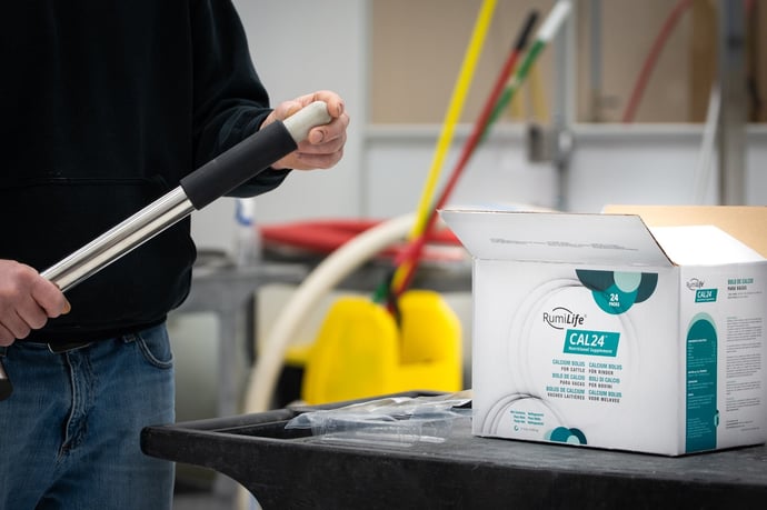 Support Your Fresh Cows with RumiLife® CAL24™ Calcium Boluses