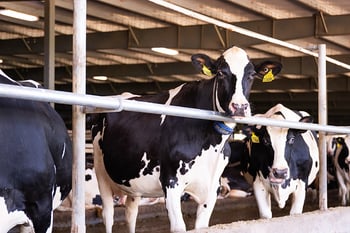 August 2026 Genetic Highlights at Alta
