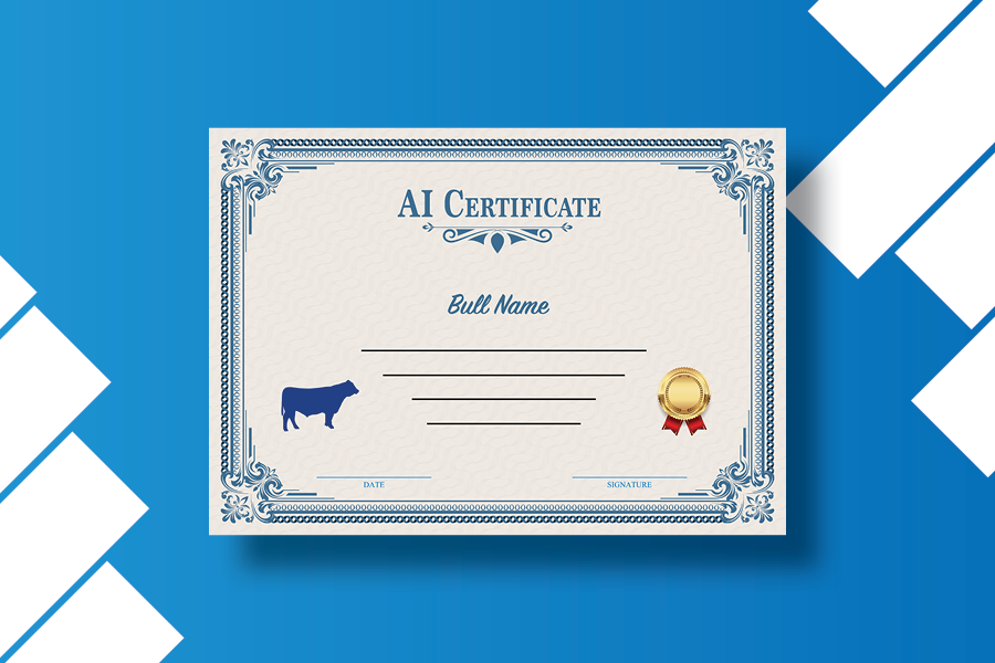 Beef Certificates