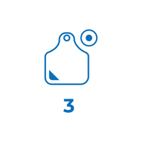 FeedWise ONYX Step 3