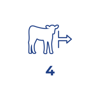 FeedWise ONYX Step 4