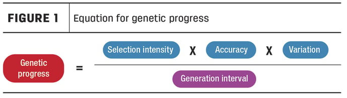 Figure 1 - Embryos