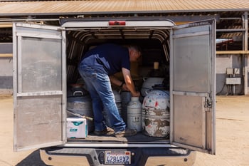 Leading the Way in Sexed Semen Fertility