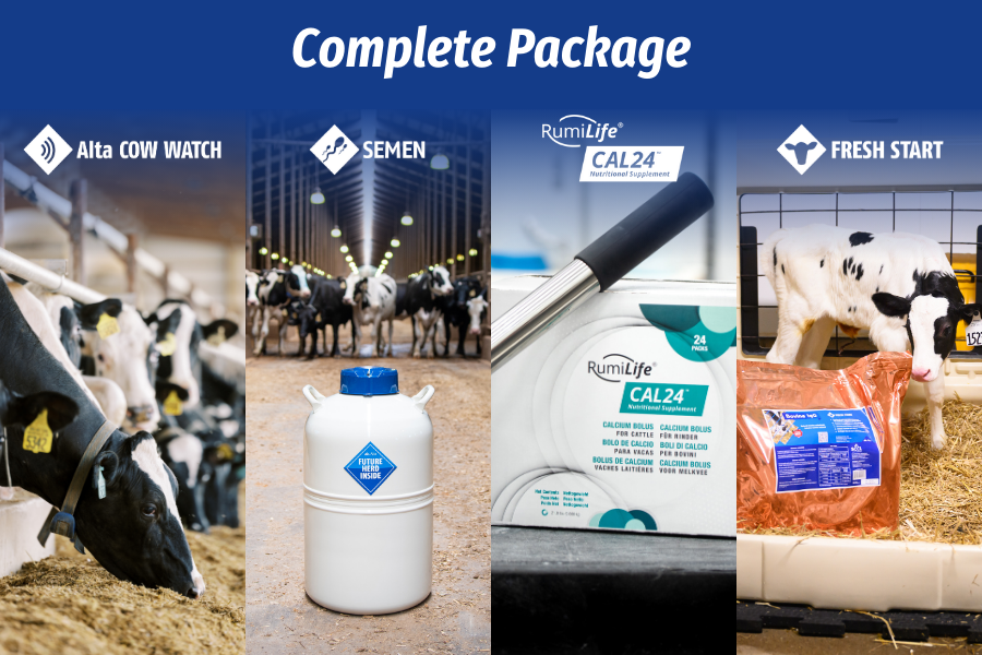 complete package