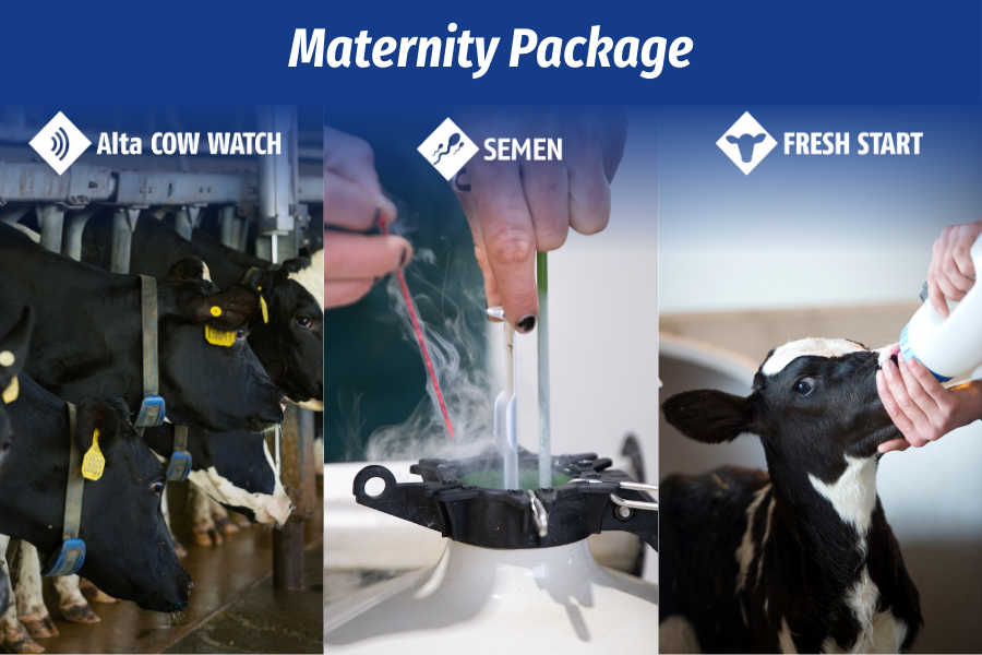 maternity package