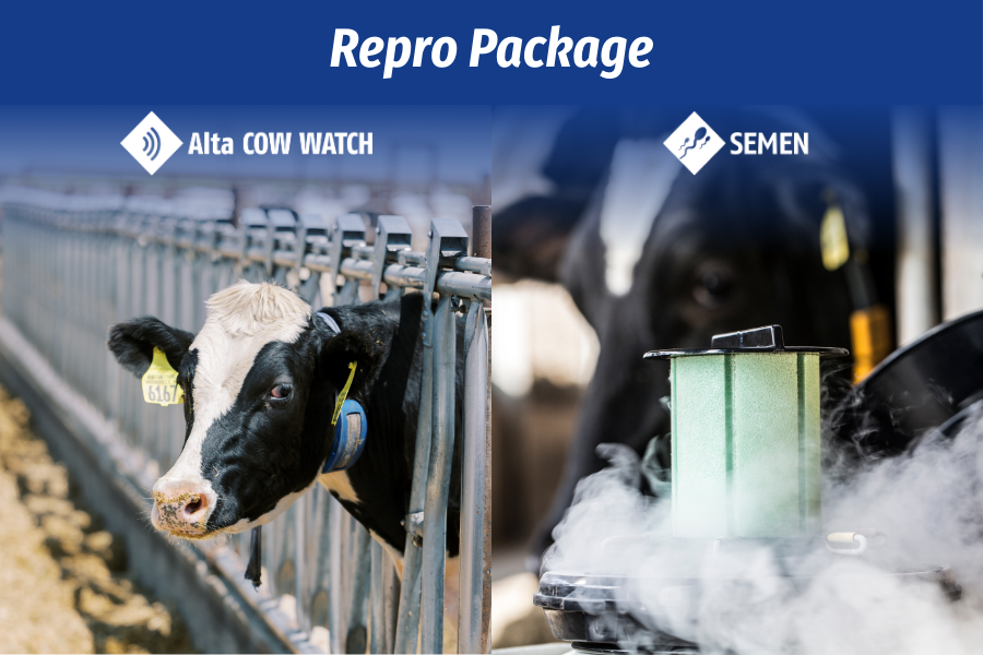 repro package