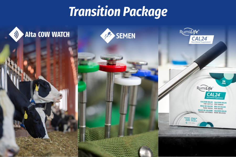 transition package