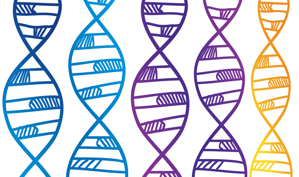 5 strands of DNA